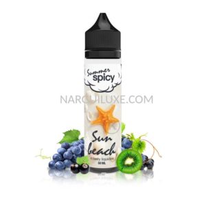 Eliquide ETASTY-sun-beach-50ML-SUMMER-SPICY-NARGUILUXE.COM