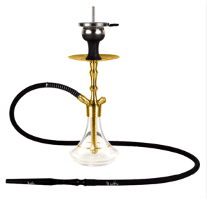 ALADIN MVP 360 GOLD - Clear