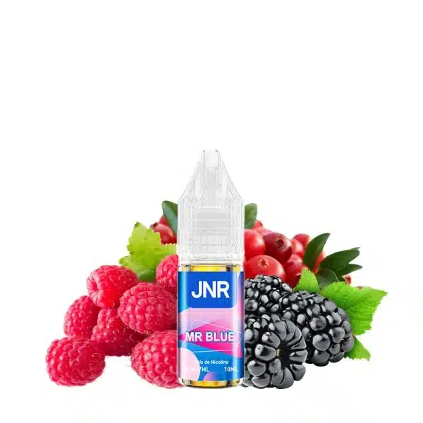 JNR Nic Salt 10ml Mr Blue